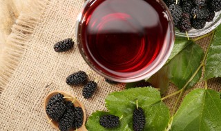 桑葚酒为什么会变酸 桑葚酒变酸的原因