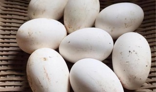 鹅蛋变黑了还能吃吗 鹅蛋发黑还能吃吗