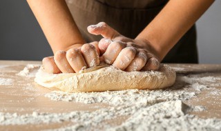 梅山酵母的使用方法 梅山酵母的使用办法