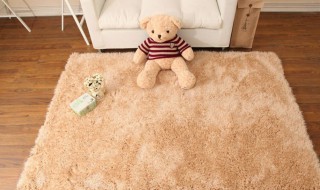 怎样清理客厅脚垫 如何清理客厅脚垫