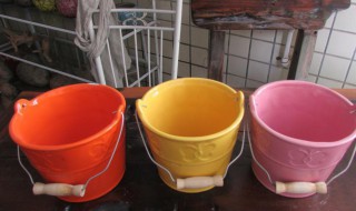 怎样清理水桶里的虫子 水桶里的虫子怎样清理