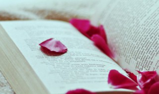 littering什么意思 littering的翻译