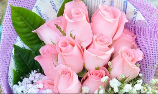 11朵花代表什么意思 11朵花代表的意思介绍