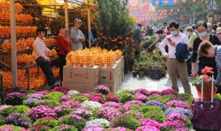 蓝色花代表什么意思啊 蓝色花代表的意思是什么