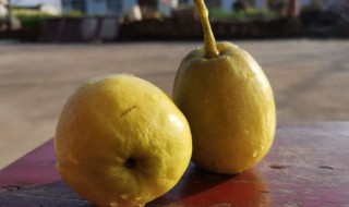 地梨子如何吃 地梨子的吃法
