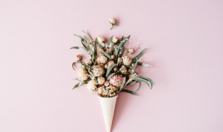 送花贺卡的情话女朋友 送花贺卡的情话女朋友可以写什么