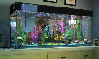 鱼缸上过滤下水口声音好大怎么办 鱼缸上过滤下水口声音好大如何解决