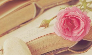 词语中愣住是什么意思 愣住释义