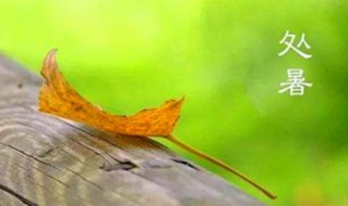 什么是处暑处暑是什么意思 处暑处暑解释