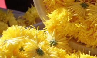 登高采菊是什么节的习俗 重阳节的了解