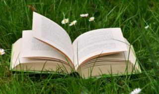 时时勤拂拭的拂拭是什么意思 时时勤拂拭的理解