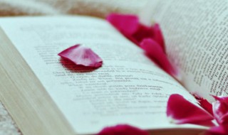 内容枯燥是什么意思 内容枯燥的理解