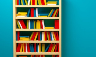 狸猫换太子什么意思 狸猫换太子含义