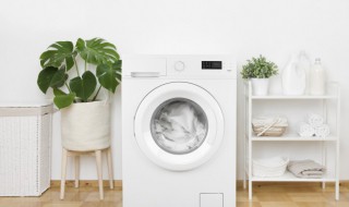 洗衣机清洗干净后还是有臭味 洗衣机一股臭味怎么处理
