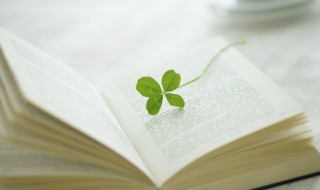 姗姗而来是什么意思 姗姗而来的意思