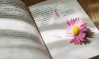 精诚合作什么意思 精诚合作的意思是什么