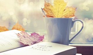 派蒙杯什么意思 派蒙杯解释