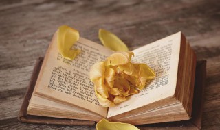 对年是什么意思 对年解释