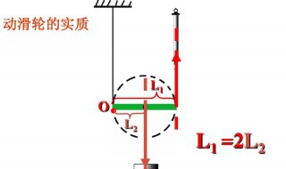 动滑轮的实质是什么 什么是动滑轮
