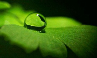 心中的雨点是指什么 心中的雨点是什么意思