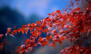 光雾山红叶最佳时间是什么时候 光雾山简介