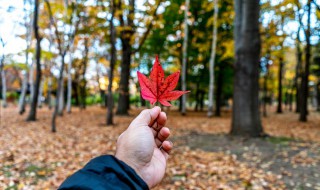 秋天文案 关于秋天的文案句子