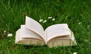 物以类聚人以群分这句话的意思 物以类聚人以群分的解释