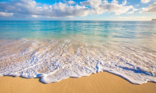 河沙和海沙的区别有哪些 河沙和海沙的区别介绍