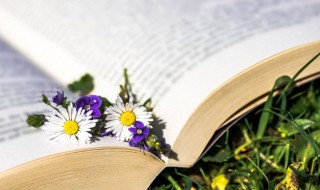 收官之作具体是什么意思 收官之作解释