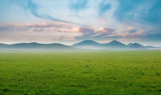 世界上最大的高原是什么 世界上最大的高原是哪个高原