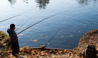 什么样的天气适合钓鱼 适合钓鱼的天气