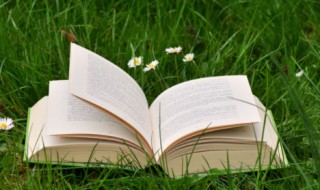 液体的闪点是指什么 液体的闪点的定义