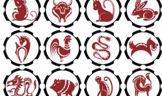 山中之王是指什么生肖 哪个生肖是山中之王