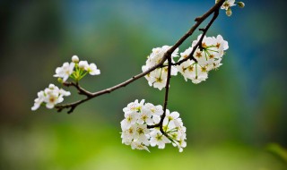 四个季节如何划分 四季划分方法