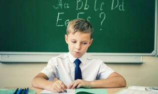 opl是什么意思 opl解释