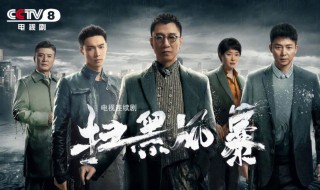 扫黑风暴播出时间 扫黑风暴什么时候播出