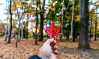 秋分太阳直射哪里 秋分太阳直射在哪里