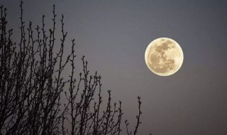 形容中秋节圆月的唯美句子说说 容中秋节圆月的唯美句子说说有哪些