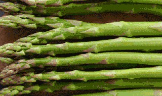 芦笋叶子怎么清洗干净 芦笋叶子怎么清洗才干净