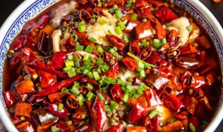 四川正宗麻辣鱼的做法 怎样做四川正宗麻辣鱼