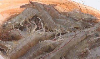 虾头变黑是因为重金属超标吗 虾头变黑是不是因为重金属超标