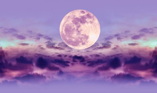 月半是什么意思 月半的含义