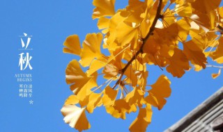 立秋的意思是什么 何谓立秋