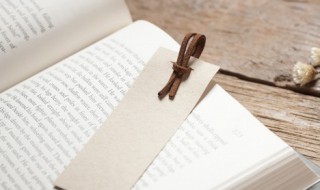 hut是什么意思 hut意思是什么