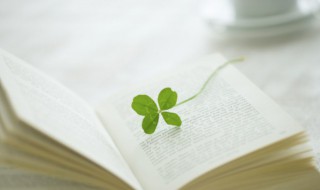 吾尝终日而思不如须臾之所学也是什么意思 吾尝终日而思不如须臾之所学也的含义