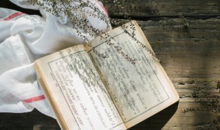 讲究的含义 讲究名词解释