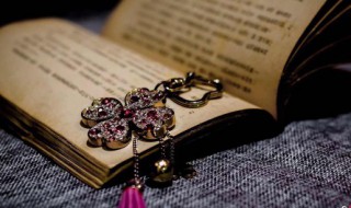 人生自古谁不死留取丹心照汗青具体含义 人生自古谁不死留取丹心照汗青的解释