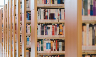 yl是什么意思 yl是什么