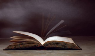 pn是什么意思啊 pn具体是什么意思啊