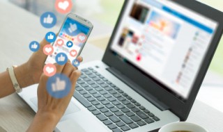 zd是什么意思 zd是什么